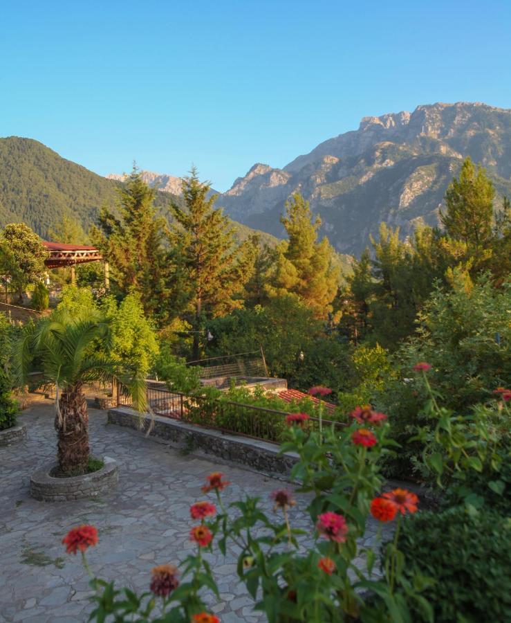 Отель Konitsa Panorama Экстерьер фото