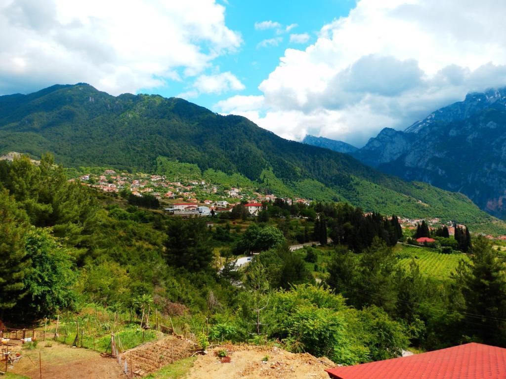 Отель Konitsa Panorama Экстерьер фото